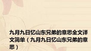 九月九日忆山东兄弟的意思全文译文简单（九月九日忆山东兄弟的意思）