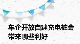 车企开放自建充电桩会带来哪些利好