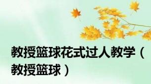 教授篮球花式过人教学（教授篮球）