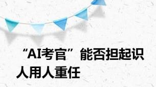 “AI考官”能否担起识人用人重任