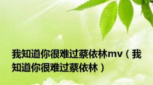 我知道你很难过蔡依林mv（我知道你很难过蔡依林）