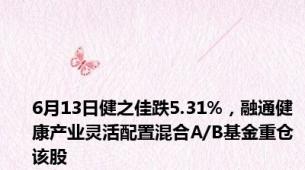 6月13日健之佳跌5.31%，融通健康产业灵活配置混合A/B基金重仓该股