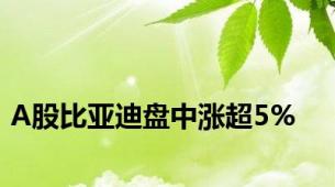 A股比亚迪盘中涨超5%