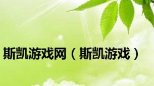 斯凯游戏网（斯凯游戏）