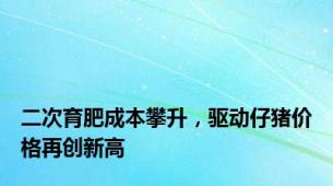 二次育肥成本攀升，驱动仔猪价格再创新高