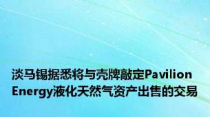 淡马锡据悉将与壳牌敲定Pavilion Energy液化天然气资产出售的交易