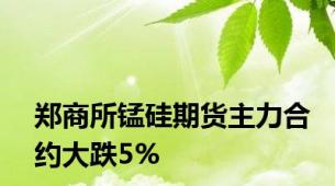 郑商所锰硅期货主力合约大跌5%