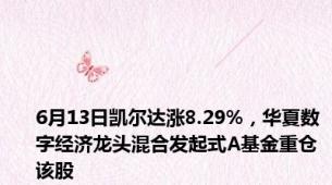 6月13日凯尔达涨8.29%，华夏数字经济龙头混合发起式A基金重仓该股