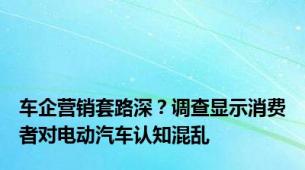 车企营销套路深？调查显示消费者对电动汽车认知混乱