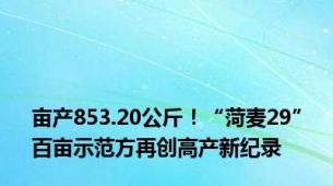 亩产853.20公斤！“菏麦29”百亩示范方再创高产新纪录