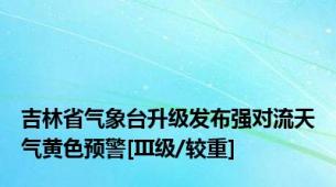 吉林省气象台升级发布强对流天气黄色预警[III级/较重]