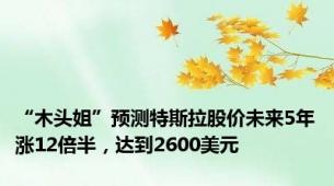 “木头姐”预测特斯拉股价未来5年涨12倍半，达到2600美元