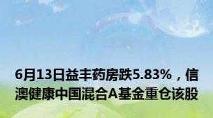 6月13日益丰药房跌5.83%，信澳健康中国混合A基金重仓该股