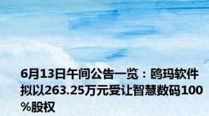 6月13日午间公告一览：鸥玛软件拟以263.25万元受让智慧数码100%股权