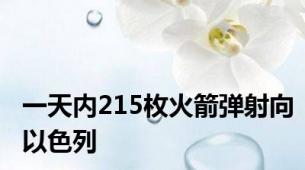 一天内215枚火箭弹射向以色列