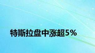 特斯拉盘中涨超5%