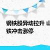 钢铁股异动拉升 山东钢铁冲击涨停