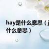 hay是什么意思（jay是什么意思）