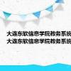 大连东软信息学院教务系统电话（大连东软信息学院教务系统）