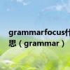 grammarfocus什么意思（grammar）