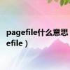 pagefile什么意思（pagefile）