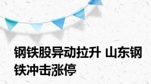 钢铁股异动拉升 山东钢铁冲击涨停