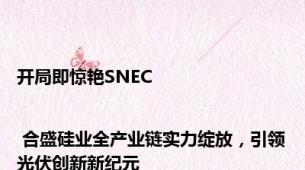 开局即惊艳SNEC | 合盛硅业全产业链实力绽放，引领光伏创新新纪元