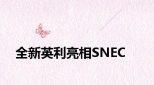 全新英利亮相SNEC