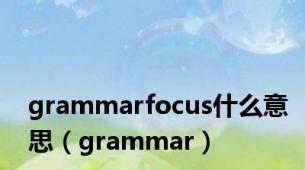 grammarfocus什么意思（grammar）