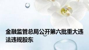 金融监管总局公开第六批重大违法违规股东