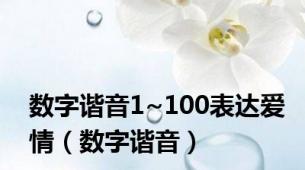 数字谐音1~100表达爱情（数字谐音）