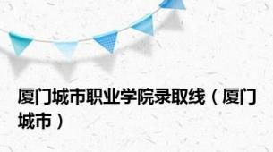 厦门城市职业学院录取线（厦门城市）