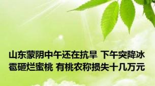 山东蒙阴中午还在抗旱 下午突降冰雹砸烂蜜桃 有桃农称损失十几万元