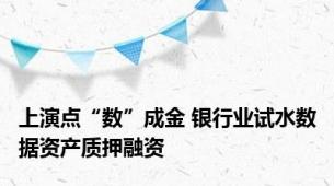 上演点“数”成金 银行业试水数据资产质押融资