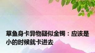 草鱼身卡异物疑似金镯：应该是小的时候就卡进去