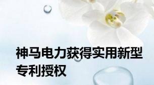 神马电力获得实用新型专利授权