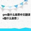 ges是什么意思中文翻译（geass是什么意思）