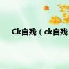 Ck自残（ck自残）