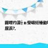 鑼呭彴澶╁ぉ璺岋紝榛勭墰涔熸厡浜?,