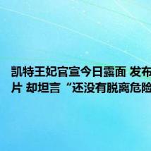 凯特王妃官宣今日露面 发布了新照片 却坦言“还没有脱离危险”