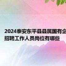 2024泰安东平县县属国有企业公开招聘工作人员岗位有哪些