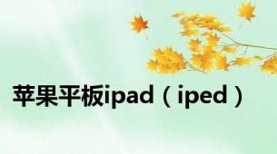 苹果平板ipad（iped）