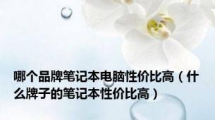 哪个品牌笔记本电脑性价比高（什么牌子的笔记本性价比高）