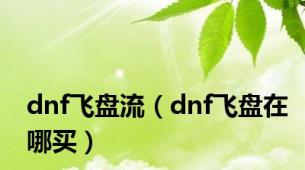 dnf飞盘流（dnf飞盘在哪买）