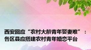 西安回应“农村大龄青年娶妻难”：各区县应搭建农村青年婚恋平台