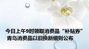 今日上午9时领取消费品“补贴券” 青岛消费品以旧换新细则公布