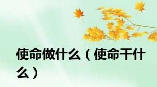 使命做什么（使命干什么）