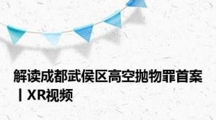 解读成都武侯区高空抛物罪首案丨XR视频