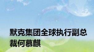 默克集团全球执行副总裁何慕麒