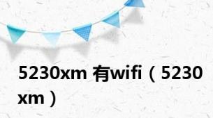 5230xm 有wifi（5230xm）